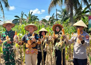 PANEN RAYA JAGUNG SERENTAK KUARTAL II: KOLABORASI LINTAS SEKTOR UNTUK KETAHANAN PANGAN NASIONAL