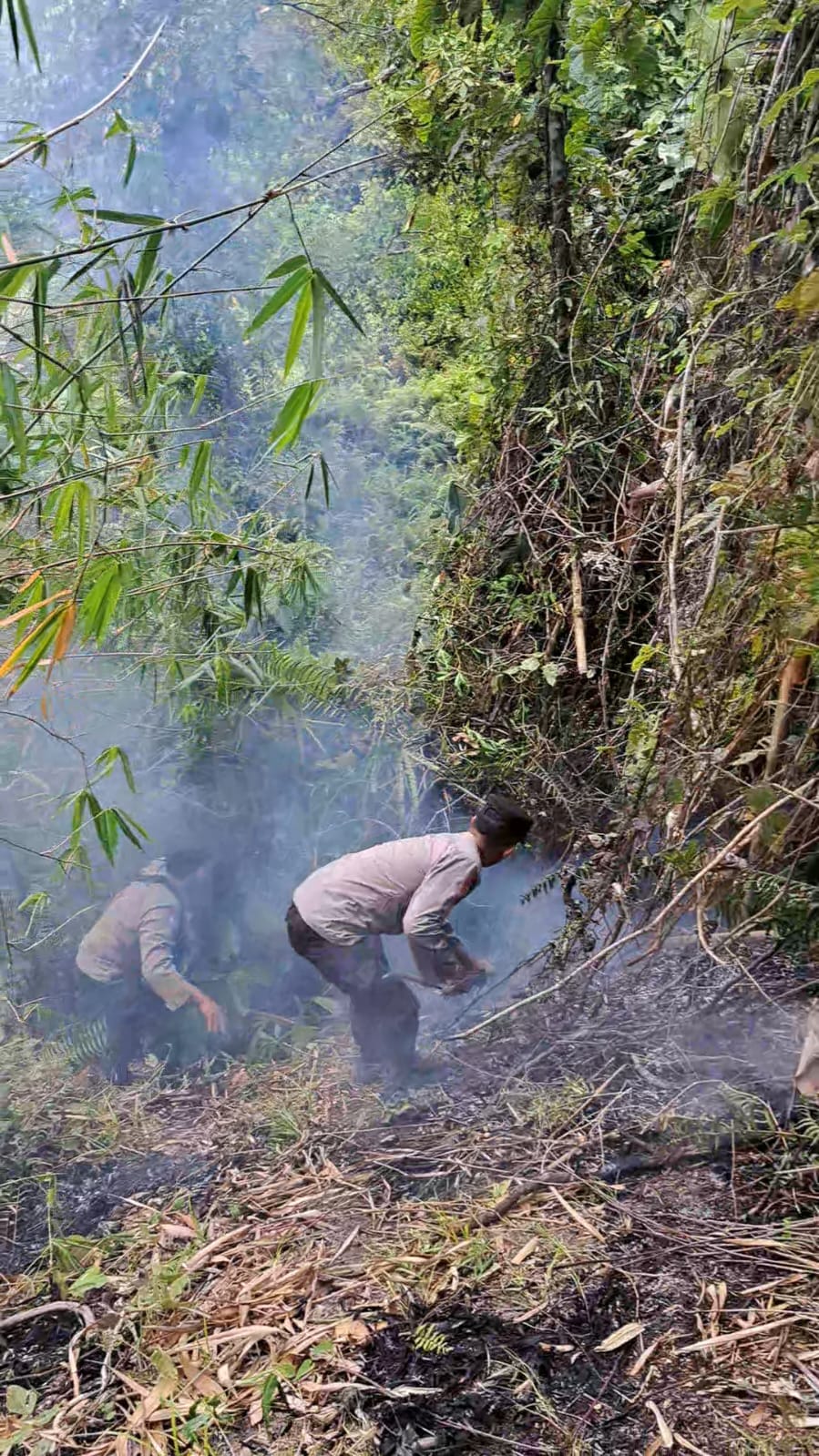 Gunakan Alat Seadanya, Polisi dan Warga Padamkan Api di Hutan Rakyat Desa Darat Sawah
