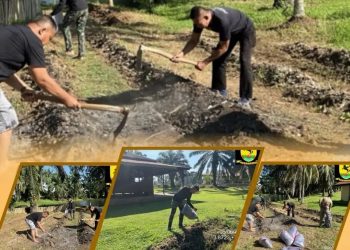 Satbrimob Polda Bengkulu Perkuat Ketahanan Pangan Melalui Perawatan dan Pemupukan Lahan Jagung