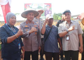 Kapolda Bengkulu Pimpin Langsung Panen Raya Jagung Polda Bengkulu