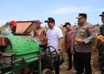 TNI-Polri dan Pemda Bersatu Wujudkan Swasembada Pangan di Bengkulu Utara