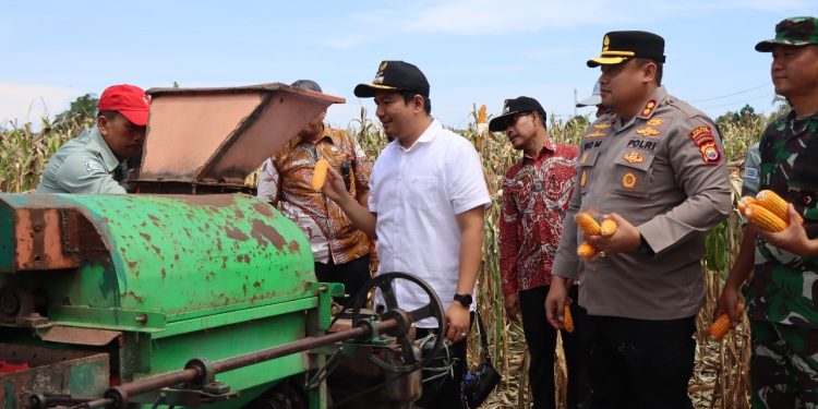 TNI-Polri dan Pemda Bersatu Wujudkan Swasembada Pangan di Bengkulu Utara