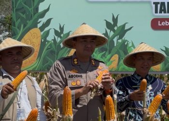 POLRES LEBONG GELAR PANEN RAYA JAGUNG SERENTAK DAN ESKPOR PERDANA KE MALAYSIA