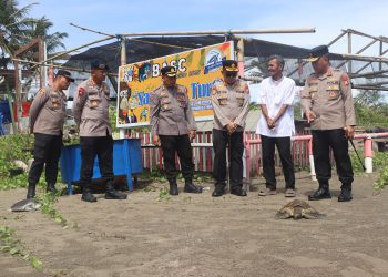 Kapolda Bengkulu Tinjau Konservasi Rumah Penyu di Bengkulu Tengah