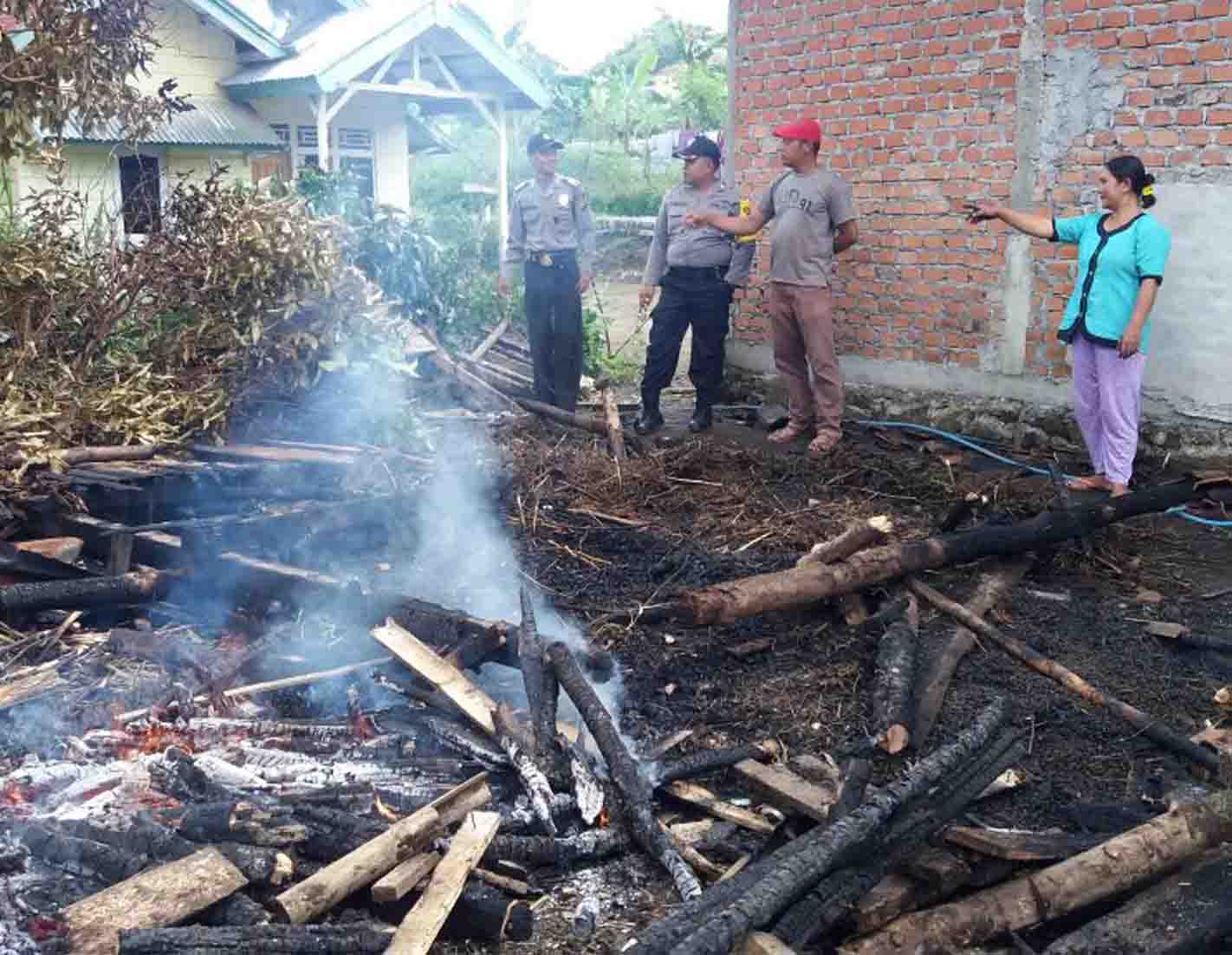Polisi Selidiki Penyebab Kebakaran Yang Mengakibatkan 10 Ternak Tewas Terpanggang