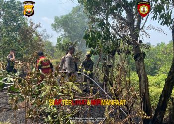 Respons Cepat, Personel Dit Samapta Polda Bengkulu Padamkan Kebakaran Lahan di Bentiring
