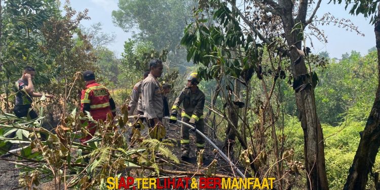 Respons Cepat, Personel Dit Samapta Polda Bengkulu Padamkan Kebakaran Lahan di Bentiring