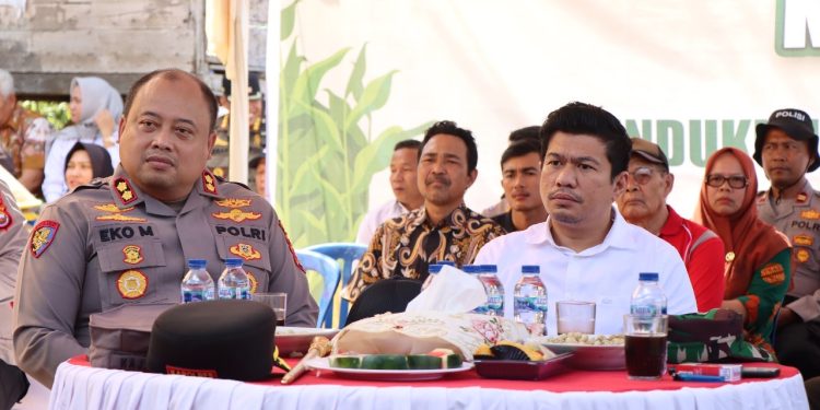Panen Jagung Serentak Kuartal II di Bengkulu Utara, Wujud Nyata Dukungan terhadap Program Swasembada Pangan Nasional
