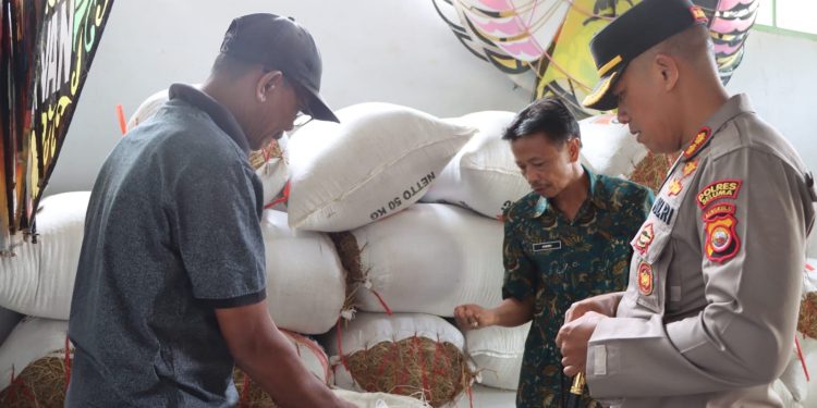 Kapolres Seluma melaksanakan Koordinasi terkait Lumbung Pangan ( Padi ) di Wilayah Kab. Seluma