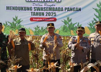 PANEN RAYA JAGUNG KUARTAL II DI WILAYAH HUKUM POLRES KEPAHIANG: KAPOLRES KEPAHIANG TEGASKAN KOMITMEN DALAM KETAHANAN PANGAN