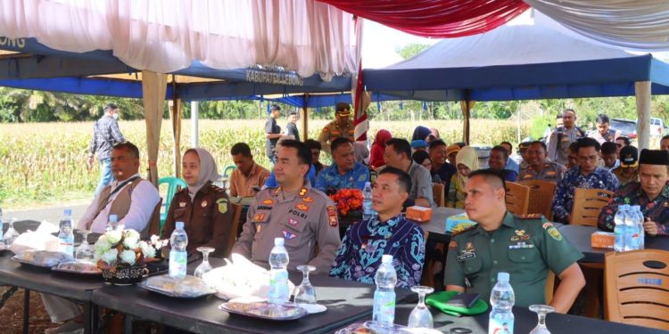 POLRES LEBONG GELAR PANEN RAYA JAGUNG SERENTAK KUARTAL II, GROUNDBREAKING 18 GUDANG POLRI, DAN ESKPOR PERDANA KE MALAYSIA