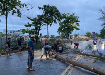 Gerak Cepat, Ditsamapta Polda Bengkulu Evakuasi Pohon Tumbang yang Halangi Jalan di Jalan Pantai Panjang