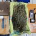 Polda Bengkulu Ungkap Kasus Narkotika Ganja dan Sabu di Kepahiang, Satu Pelaku Diamankan