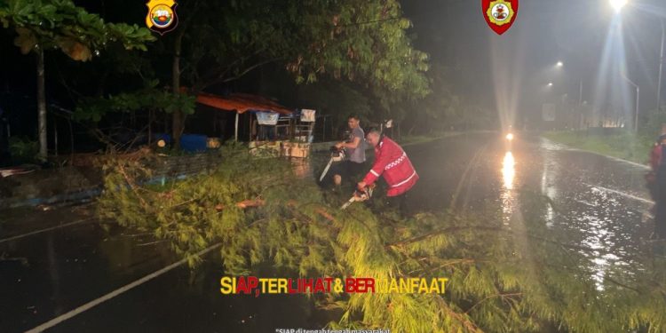 Personel Ditsamapta Polda Bengkulu Respon Cepat Tangani Pohon Tumbang di Belakang Grage Hotel