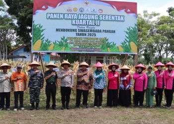 Panen Raya Serentak Kuartal II Program Tumpang Sari di Desa Maju Makmur, Mukomuko: Wujud Nyata Sinergi  Polri dengan Pemerintah daerah Menuju Swasembada Pangan 2025