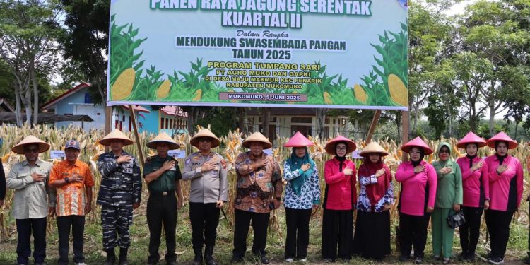 Panen Raya Serentak Kuartal II Program Tumpang Sari di Desa Maju Makmur, Mukomuko: Wujud Nyata Sinergi  Polri dengan Pemerintah daerah Menuju Swasembada Pangan 2025