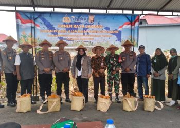 Panen Raya Jagung di Lahan Polsek Ujan Mas, Polres Kepahiang Dukung Swasembada Pangan Nasional