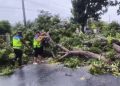 Polresta Bengkulu Evakuasi Pohon Tumbang Halangi Jalan