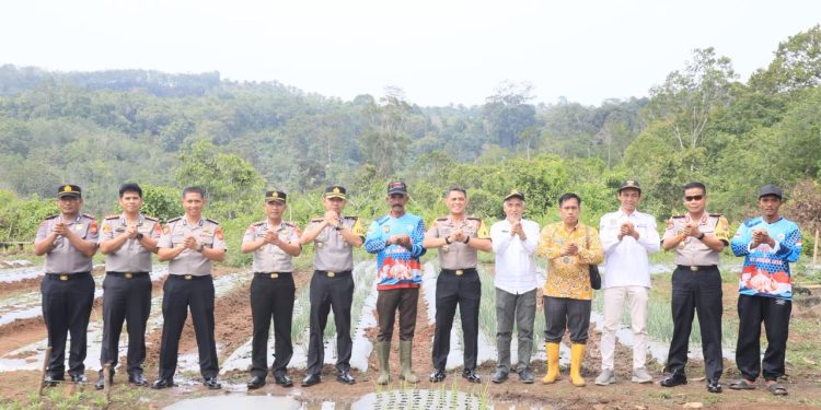 Perkuat Green Policing dan Swasembada Pangan, Kapolda Bengkulu Tinjau Demplot Bawang Putih dan Tanam Pohon di Bengkulu Tengah