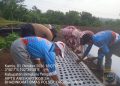 Bhabinkamtibmas Dampingi Monitoring dan Penanaman Bawang Putih di Semidang Lagan