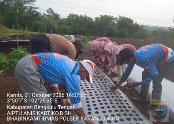 Bhabinkamtibmas Dampingi Monitoring dan Penanaman Bawang Putih di Semidang Lagan