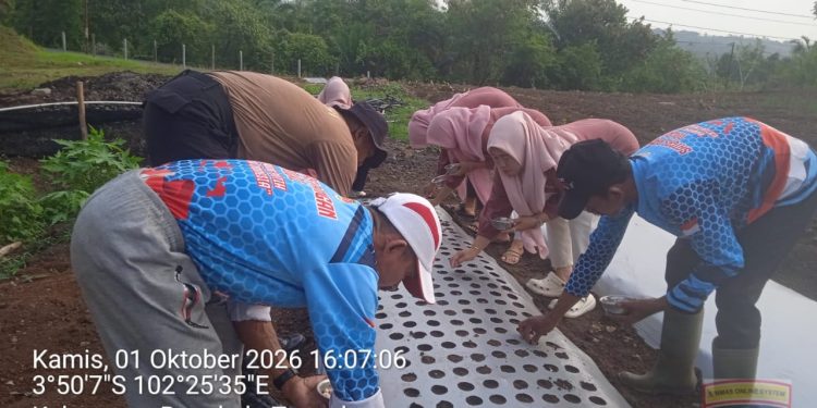 Bhabinkamtibmas Dampingi Monitoring dan Penanaman Bawang Putih di Semidang Lagan