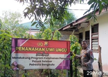 Polsek Selebar Laksanakan Penanaman Jagung Serentak Kuartal II Tahun 2026 dan Perawatan Uwi Ungu