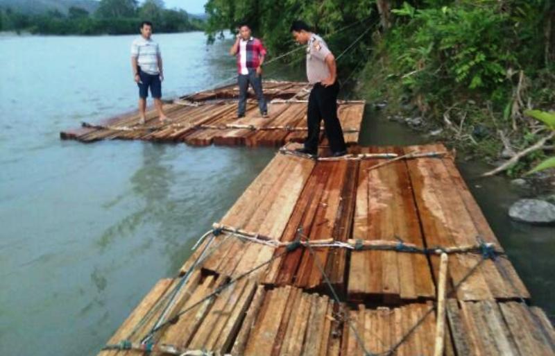 Kembali, Polisi Amankan Kayu yang diduga Hasil Illegal Logging