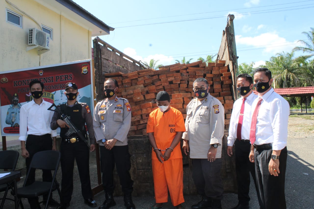 Angkut Kayu Illegal Loging, Warga Jambi Ditangkap Polres MM