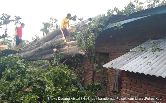 Bersama Pemdes dan Warga, Bhabinkamtibmas Gotong Royong Membersihkan Pohon Tumbang