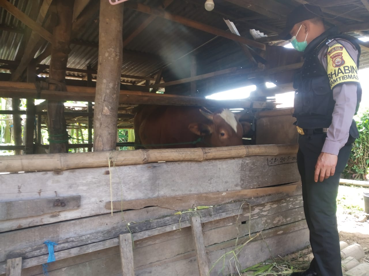 Sambang Peternak, Anggota Bhabinkamtibmas Binluh Pencegahan Penyakit Hewan Ternak