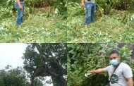 Diduga Jatuh Dari Pohon Jengkol, Pria 53 Tahun Ditemukan Meninggal