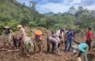 Tanam Jagung, Upaya Pilar Desa Padang Kedeper Ciptakan Ketahanan Pangan