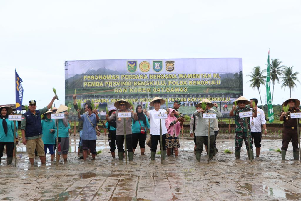 Kunker Wamen Pertanian RI, Gubernur Bersama Forkopimda Provinsi Bengkulu Gelar Aksi Tanam Padi