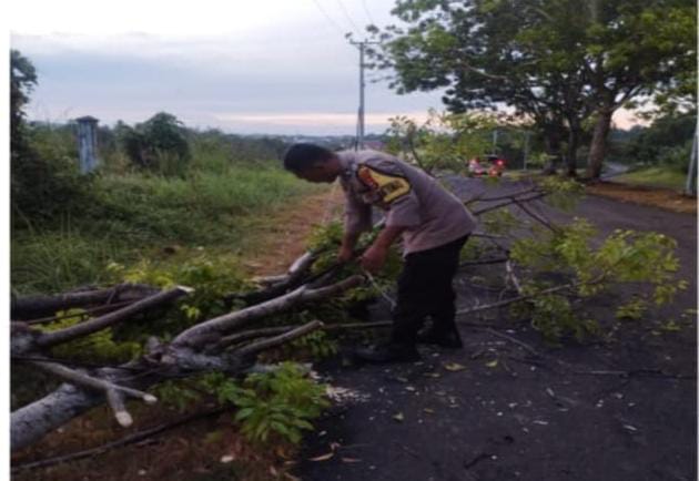 Quick Response, Polsek Gading Cempaka Evakuasi Pohon Tumbang