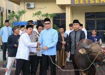 Rayakan Idul Adha, Polda Bengkulu Qurban 28 Ekor Sapi dan 7 Ekor kambing