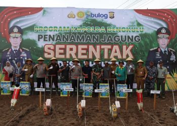 Polda Bengkulu Tanam Jagung 1,5 Hektare di Bengkulu Utara Dihadiri Forkompinda Kabupaten dan Provinsi