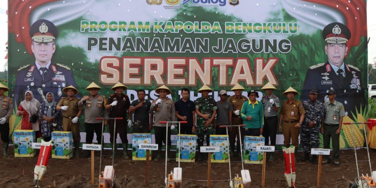 Polda Bengkulu Tanam Jagung 1,5 Hektare di Bengkulu Utara Dihadiri Forkompinda Kabupaten dan Provinsi