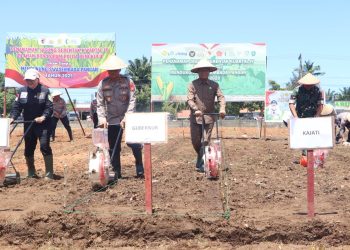Polda Bengkulu Dorong Kemandirian Pangan Lewat Gerakan Penanaman Jagung Serentak Tahap IV di Kampung Melayu