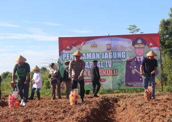 Penanaman Jagung Kuartal IV, Kapolda Bengkulu Tegaskan Komitmen Ketahanan Pangan Serta Panjatkan Doa untuk Korban Bencana di Aceh, Sumbar, dan Sumut