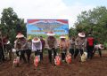 Kapolda Bengkulu Pimpin Tanam Raya Jagung Serentak di Bengkulu Tengah, Dukung Swasembada Pangan Nasional