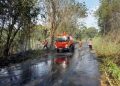 Api Lahap Semak Belukar di Pinggir Jalan Kepahiang-Pagar Alam, Polisi dan Tim Gabungan Bergerak Cepat Padamkan Kebakaran