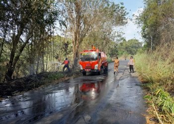Api Lahap Semak Belukar di Pinggir Jalan Kepahiang-Pagar Alam, Polisi dan Tim Gabungan Bergerak Cepat Padamkan Kebakaran