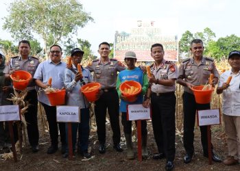 Kapolda Bengkulu Panen Jagung dan Tebar Bibit Ikan, Perkuat Ketahanan Pangan Berkelanjutan