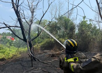 Respons Cepat Personel Dit Samapta Polda Bengkulu, Kebakaran Lahan Langsung Ditangani