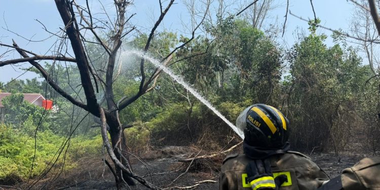 Respons Cepat Personel Dit Samapta Polda Bengkulu, Kebakaran Lahan Langsung Ditangani