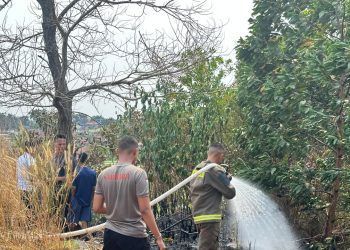 Gerak Cepat Dit Samapta Polda Bengkulu Padamkan Kebakaran Lahan di Sukarami