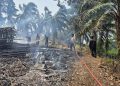 Bersinergi Padamkan Karhutla, Bhabinkamtibmas Polsek Pino Ajak Warga Jaga Kelestarian Hutan di Ulu Manna