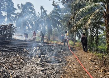 Bersinergi Padamkan Karhutla, Bhabinkamtibmas Polsek Pino Ajak Warga Jaga Kelestarian Hutan di Ulu Manna