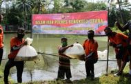 Program Ketahanan Pangan, Polres B/U Polda Bengkulu Lepas 12.000 Bibit Ikan